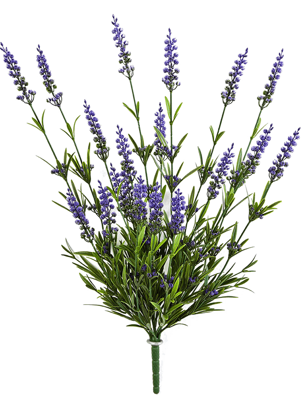 Nieuwkoop Europe | Lavender