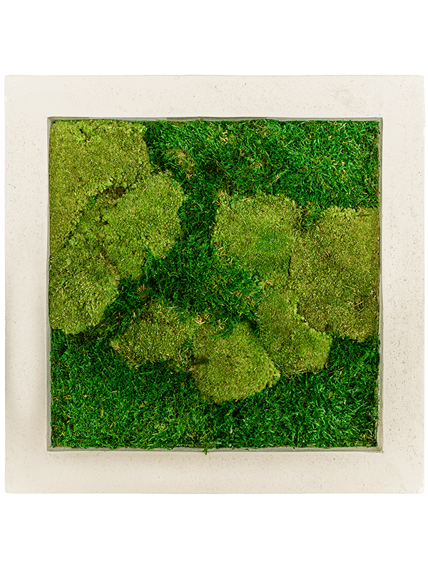 Moss painting | Nieuwkoop Europe