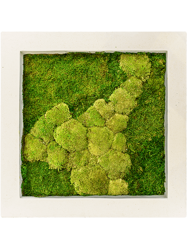 Moss painting | Nieuwkoop Europe