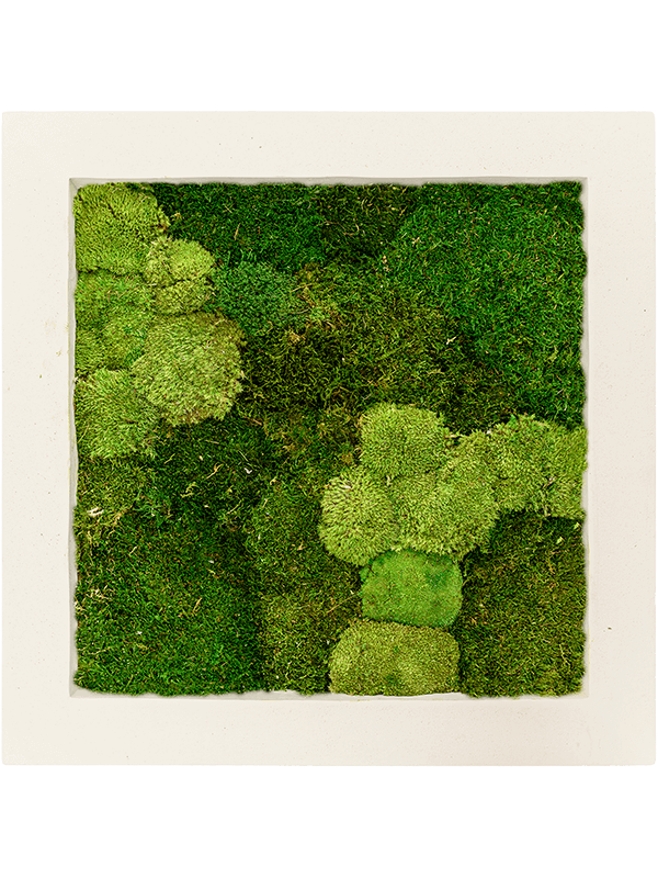 Moss painting | Nieuwkoop Europe