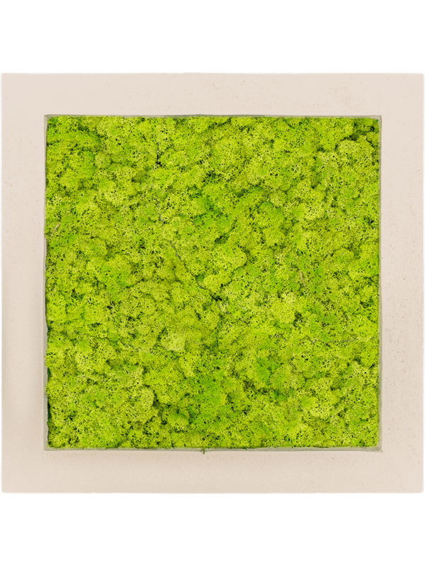 Moss painting | Nieuwkoop Europe