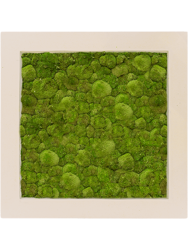 Moss painting | Nieuwkoop Europe